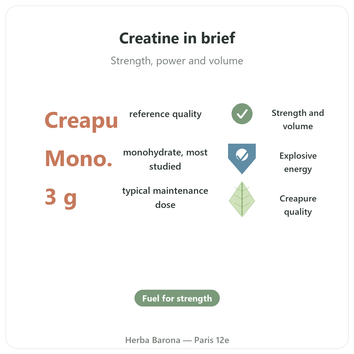 Creatine in Paris at a glance - key facts at Herba Barona Paris 12th