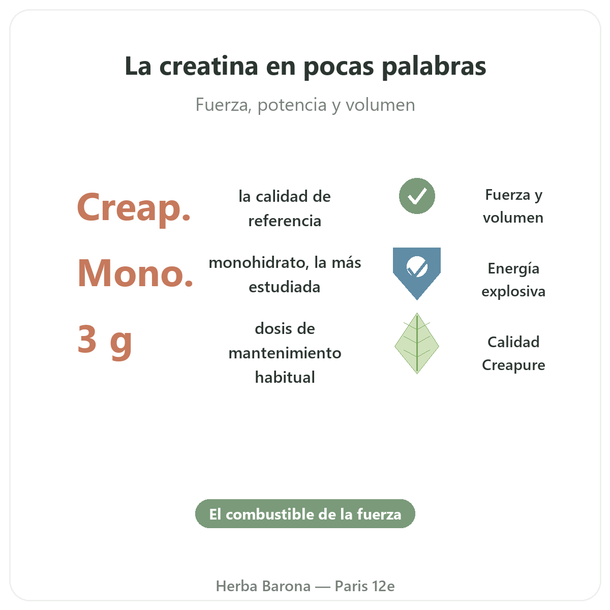 Creatina París en cifras - datos clave en Herba Barona París 12e