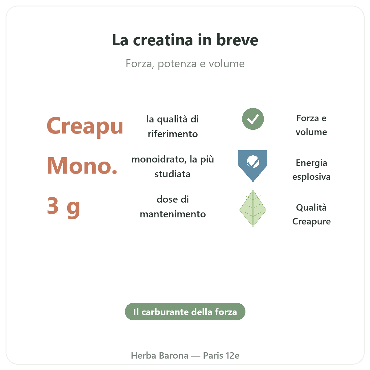Creatina Parigi in breve - dati chiave da Herba Barona Parigi 12e