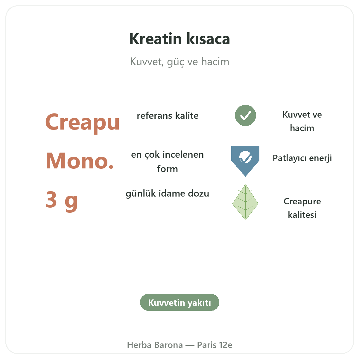 Kreatin Paris kısaca - Herba Barona Paris 12. bölge’de önemli rakamlar