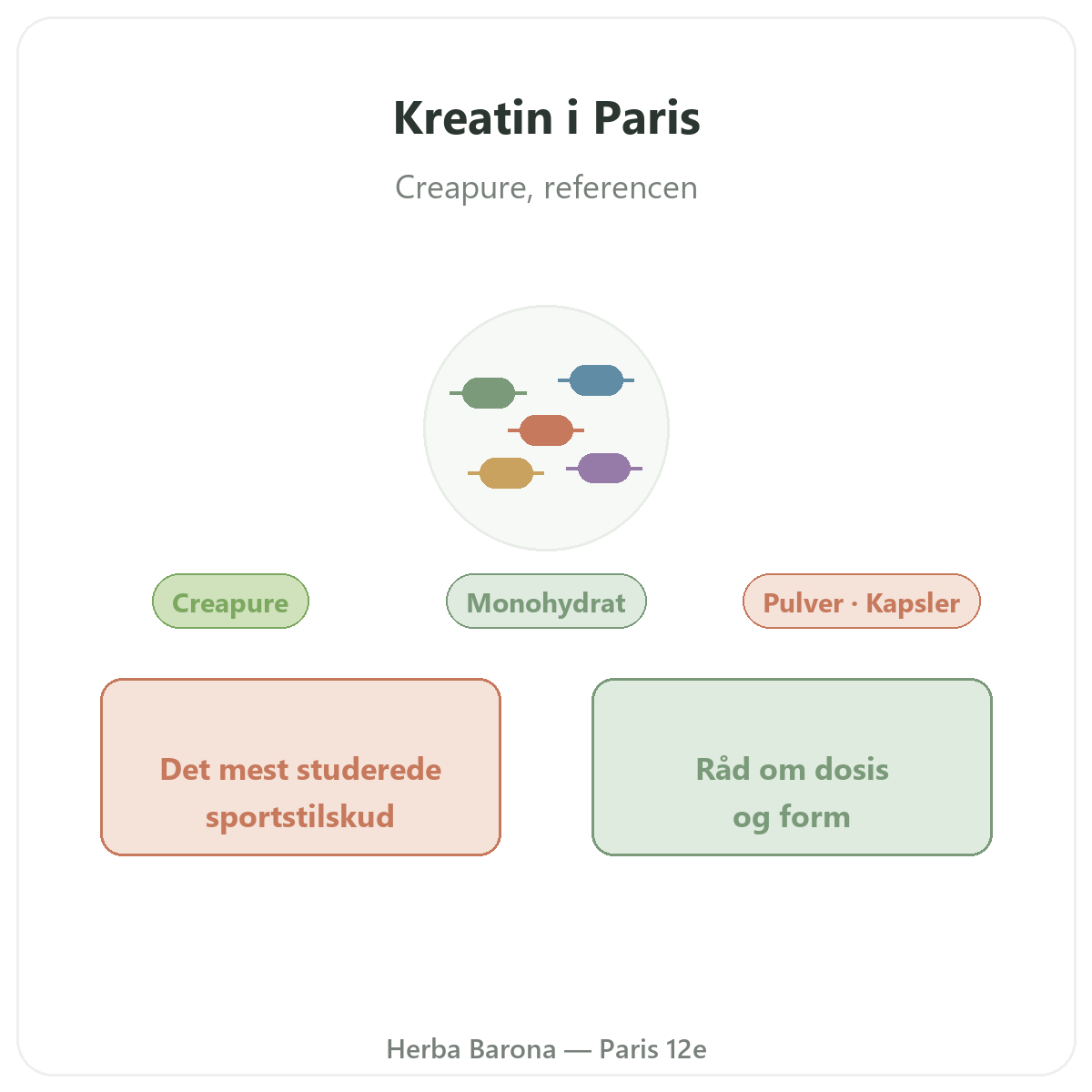 Kreatin Paris - præsentation af mærket hos Herba Barona Paris 12
