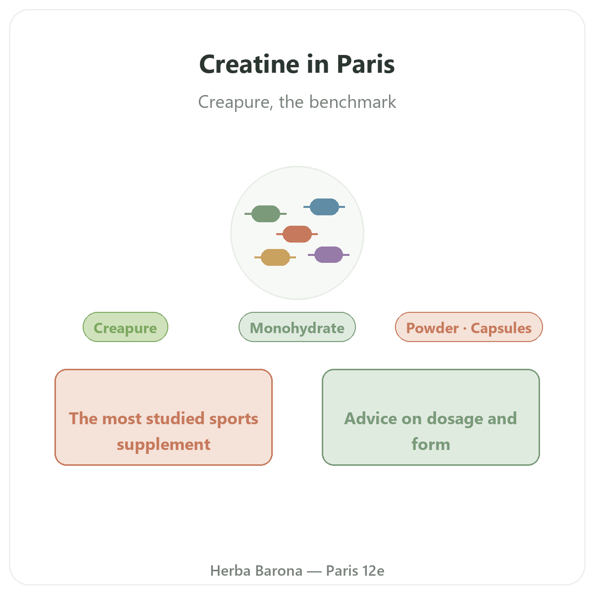 Creatine in Paris - brand overview at Herba Barona Paris 12th