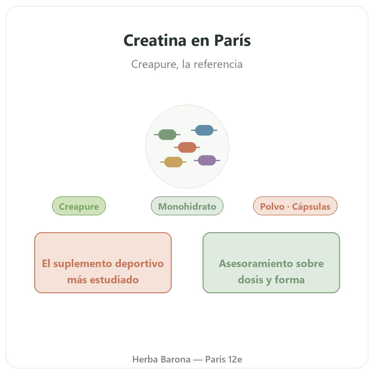 Creatina París - presentación de la marca en Herba Barona París 12e