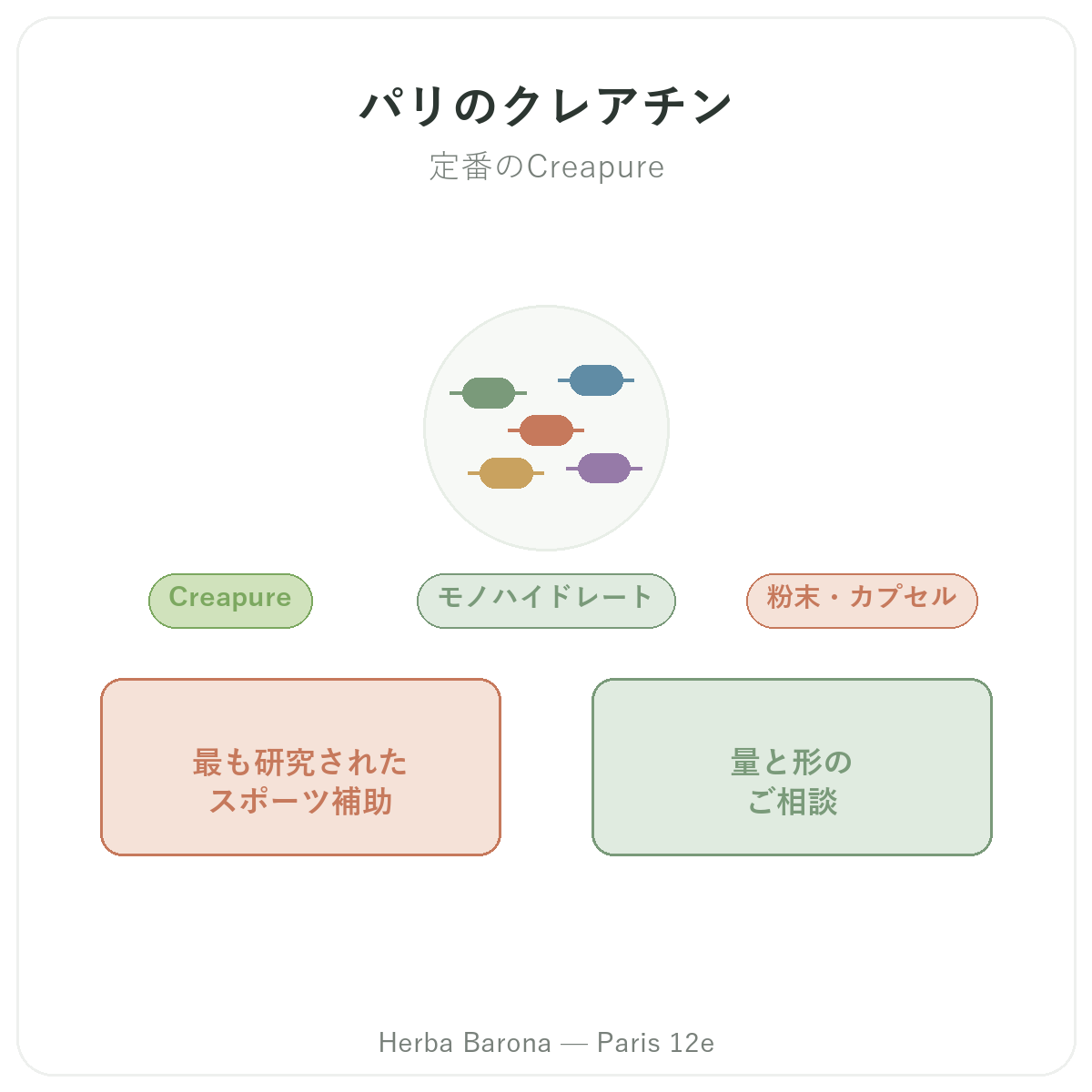 クレアチン パリ パリ - Herba Baronaのブランド紹介 パリ12区