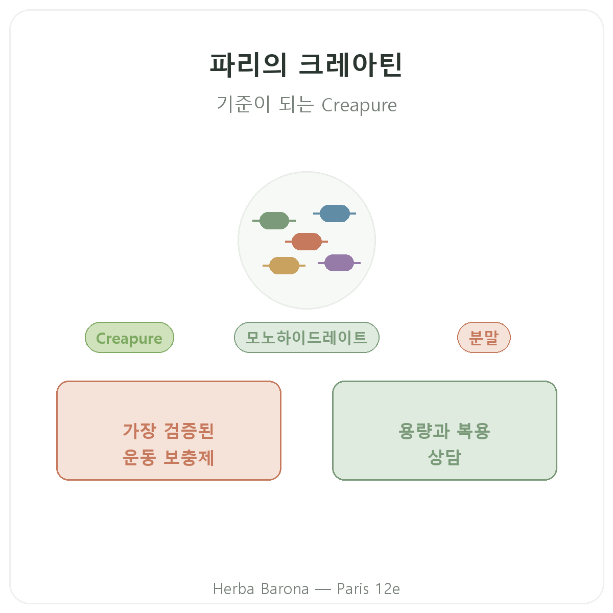 크레아틴 파리 - Herba Barona 파리 12구 브랜드 소개