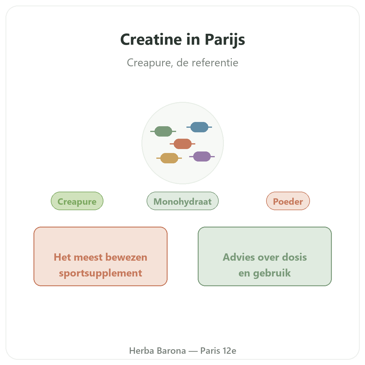 Creatine Parijs - voorstelling van het merk bij Herba Barona Parijs 12e