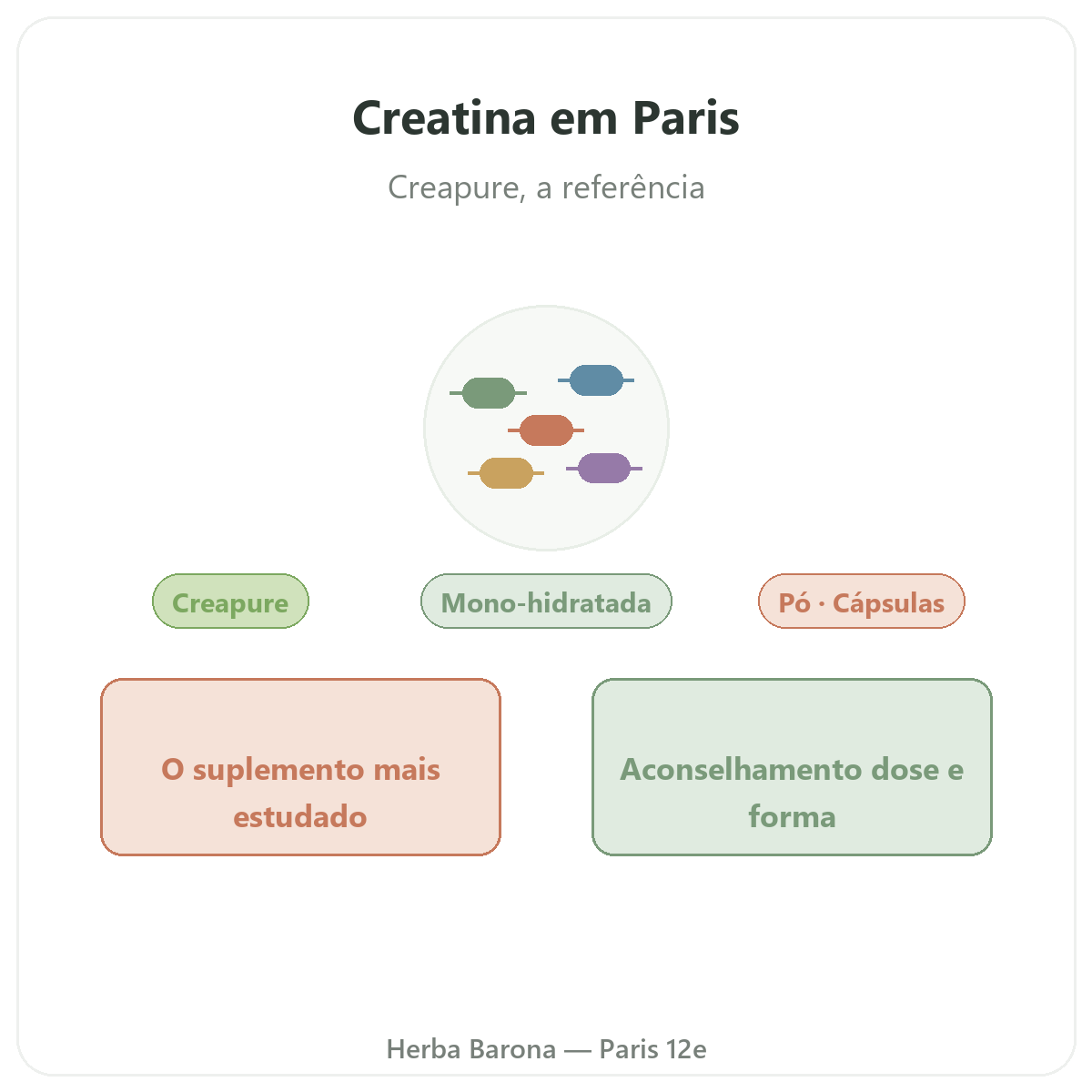 Creatina Paris - apresentação da marca na Herba Barona Paris 12e