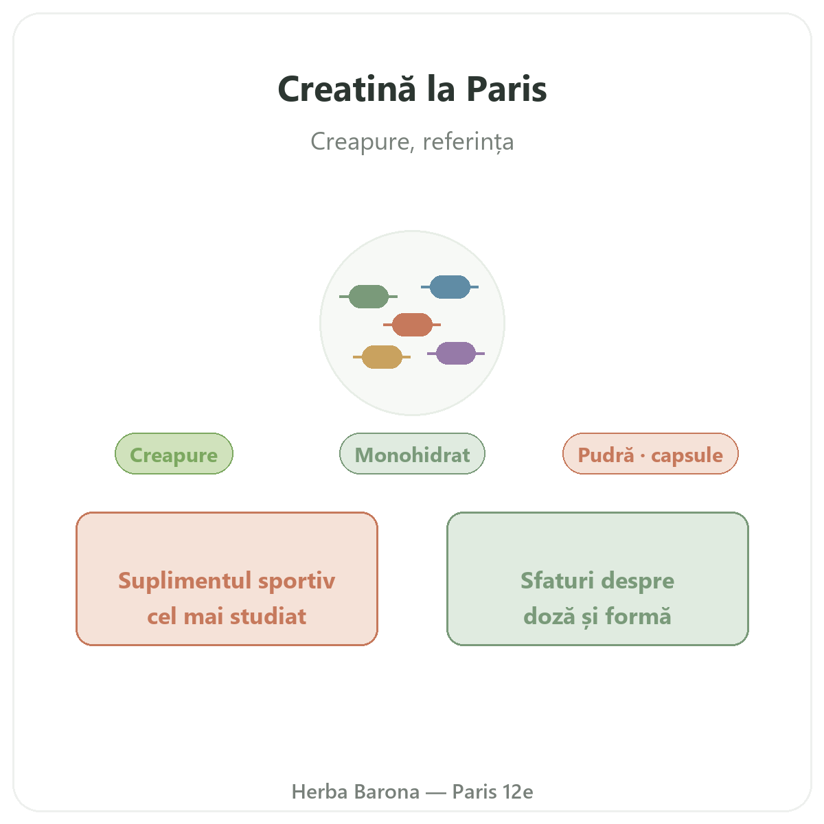 Creatină Paris - prezentarea mărcii la Herba Barona Paris, arondismentul 12