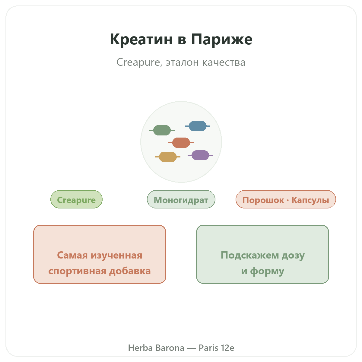 Креатин Париж — презентация марки в Herba Barona, Париж, 12-й округ