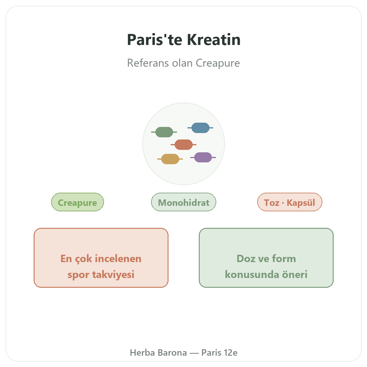 Kreatin Paris - Herba Barona Paris 12. bölge’de marka tanıtımı