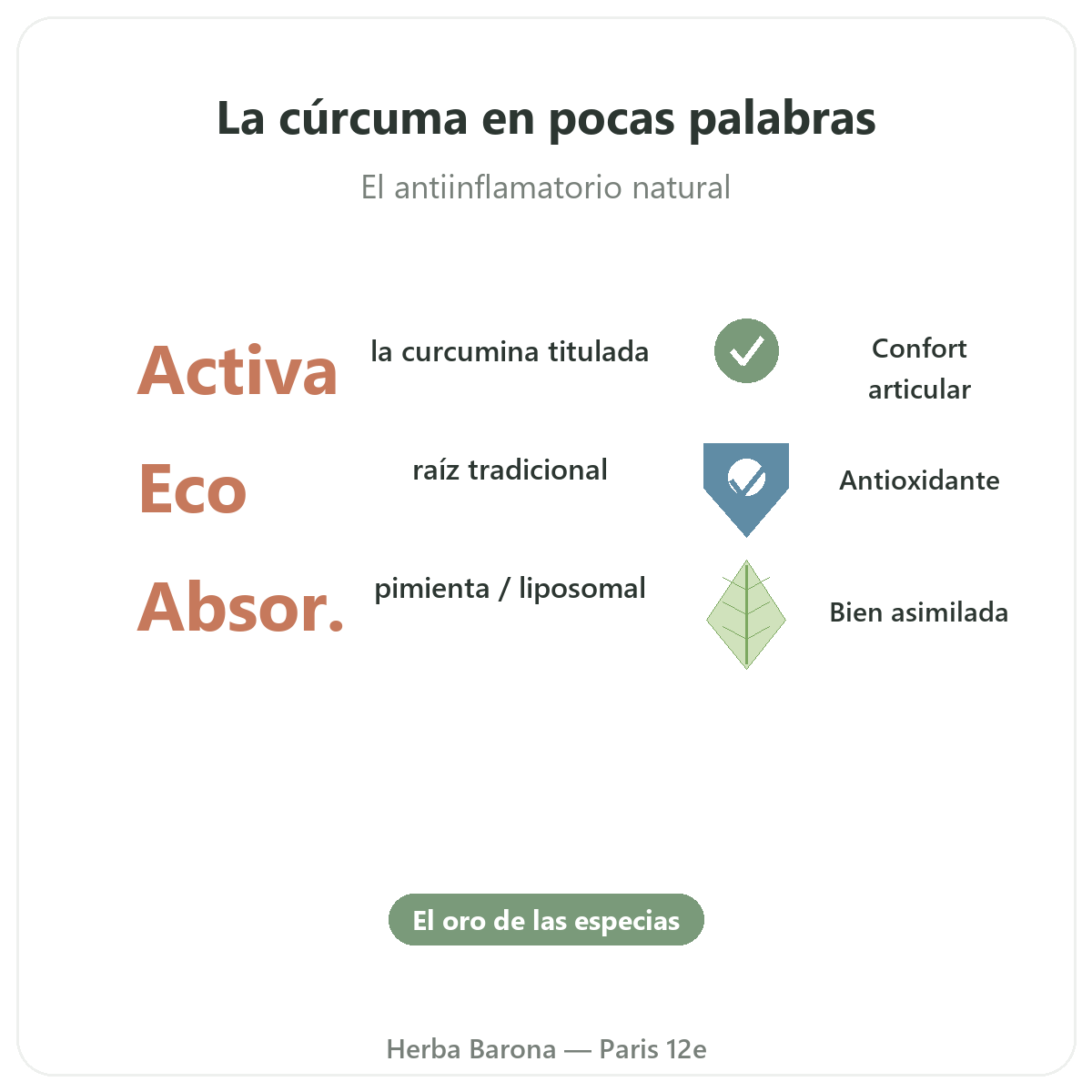 Curcuma Paris Paris en resumen - cifras clave en Herba Barona Paris 12e
