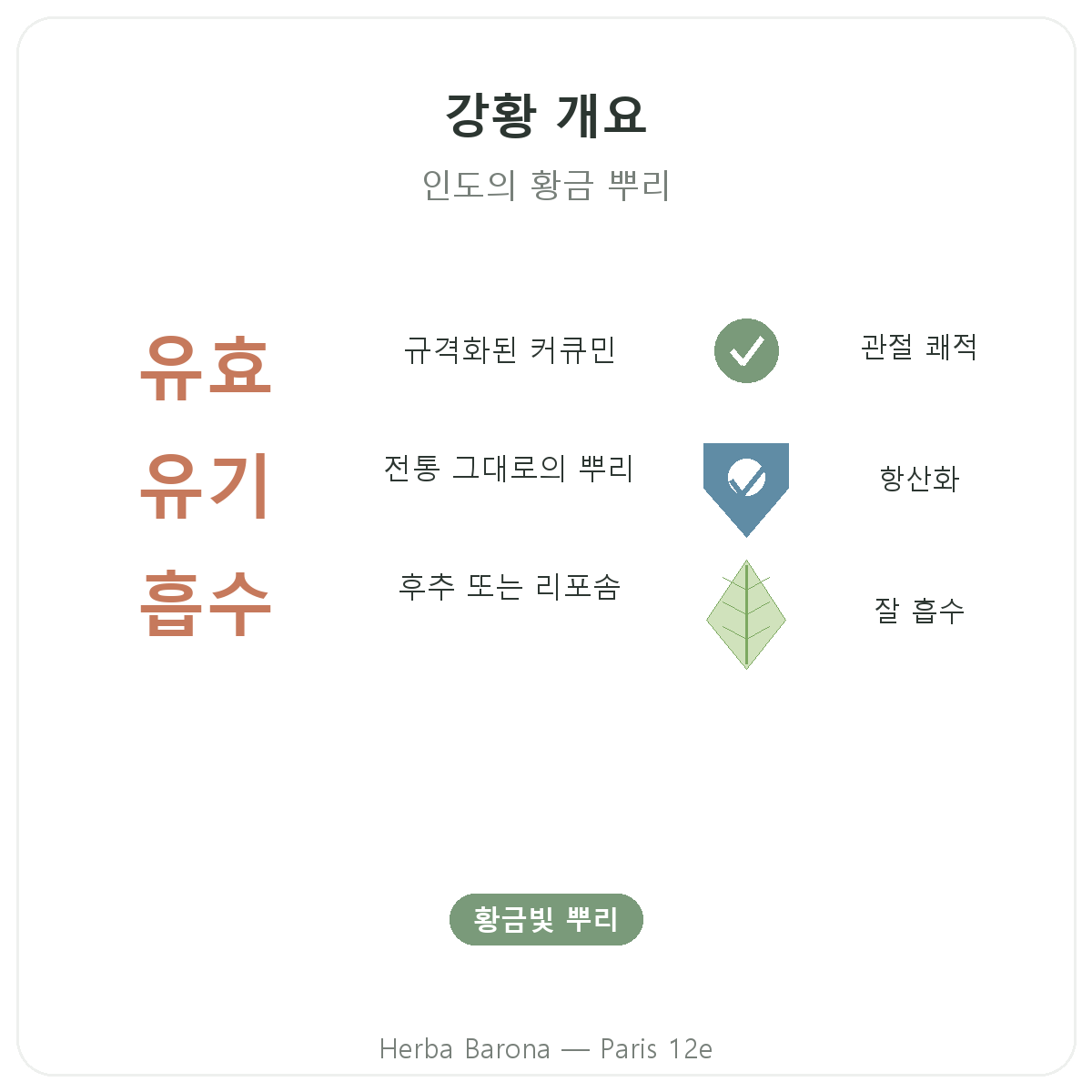 강황 파리 요약 - Herba Barona 파리 12구 주요 수치