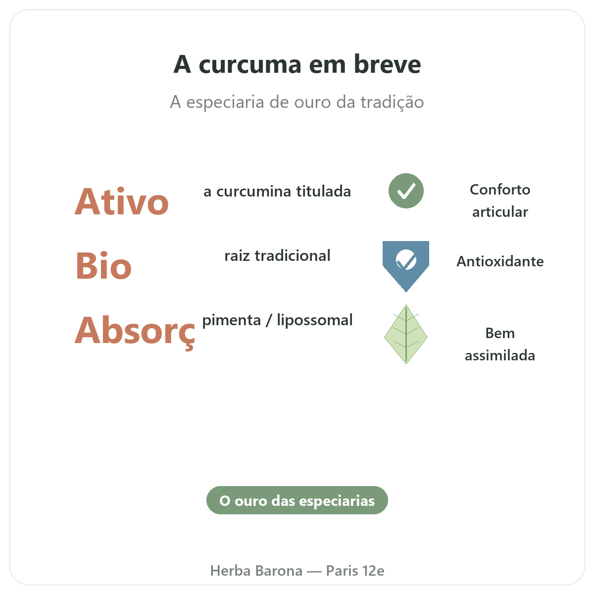 Curcuma Paris Paris em resumo - números-chave na Herba Barona Paris 12e