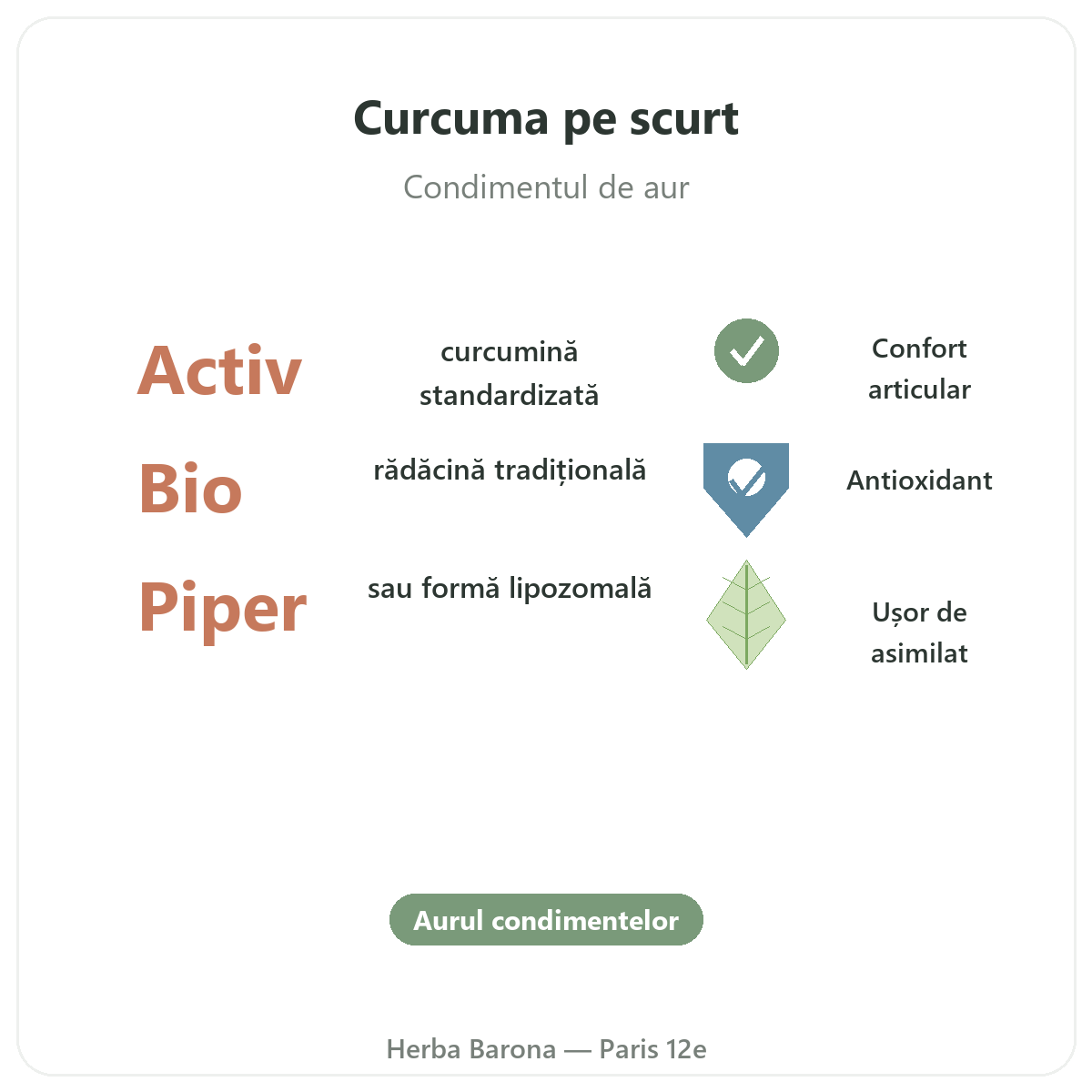 Curcuma Paris pe scurt - cifre cheie la Herba Barona Paris, arondismentul 12