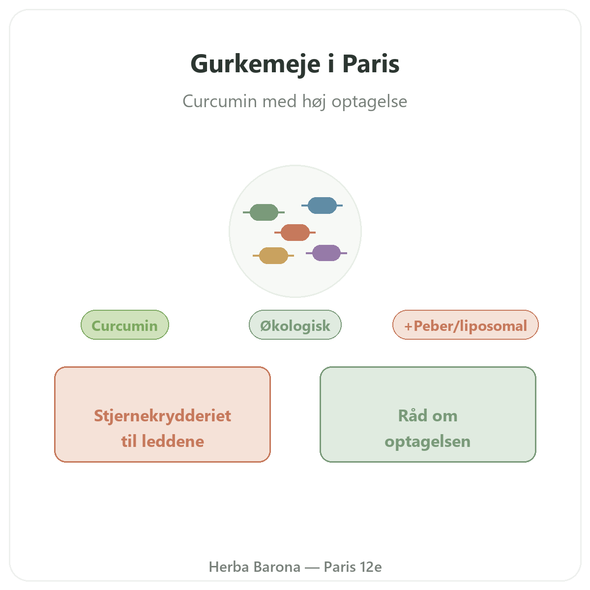 Gurkemeje Paris - præsentation af mærket hos Herba Barona Paris 12