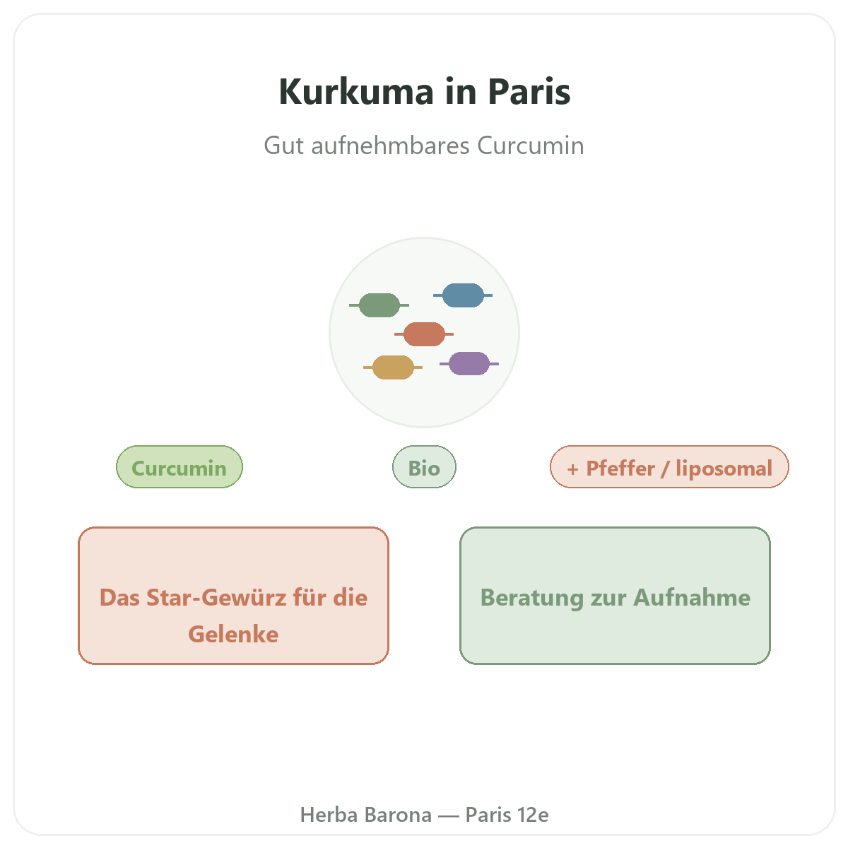 Kurkuma Paris - Vorstellung der Marke bei Herba Barona Paris 12e