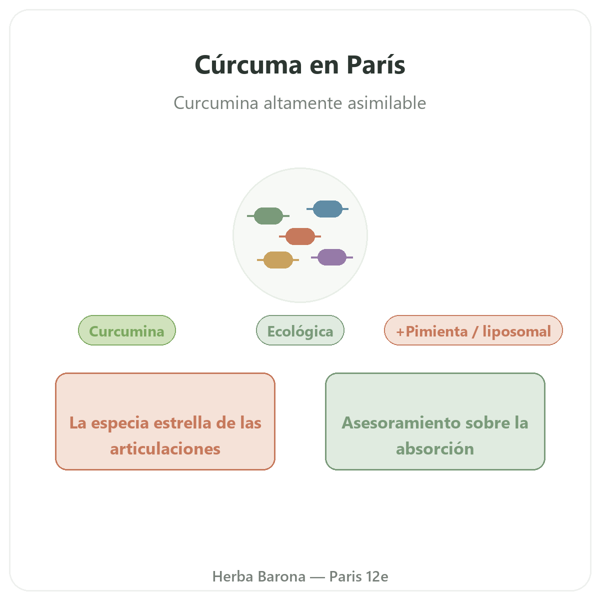 Curcuma Paris Paris - presentación de la marca en Herba Barona Paris 12e