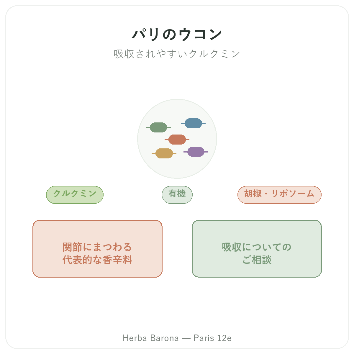ウコン パリ - Herba Barona パリ12区 ブランド紹介