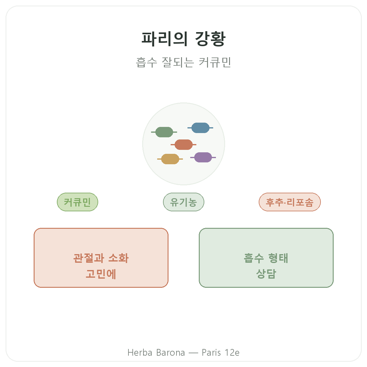 강황 파리 - Herba Barona 파리 12구 브랜드 소개