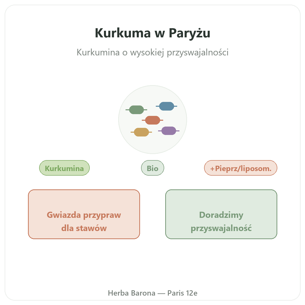 Kurkuma - prezentacja marki w Herba Barona Paryż