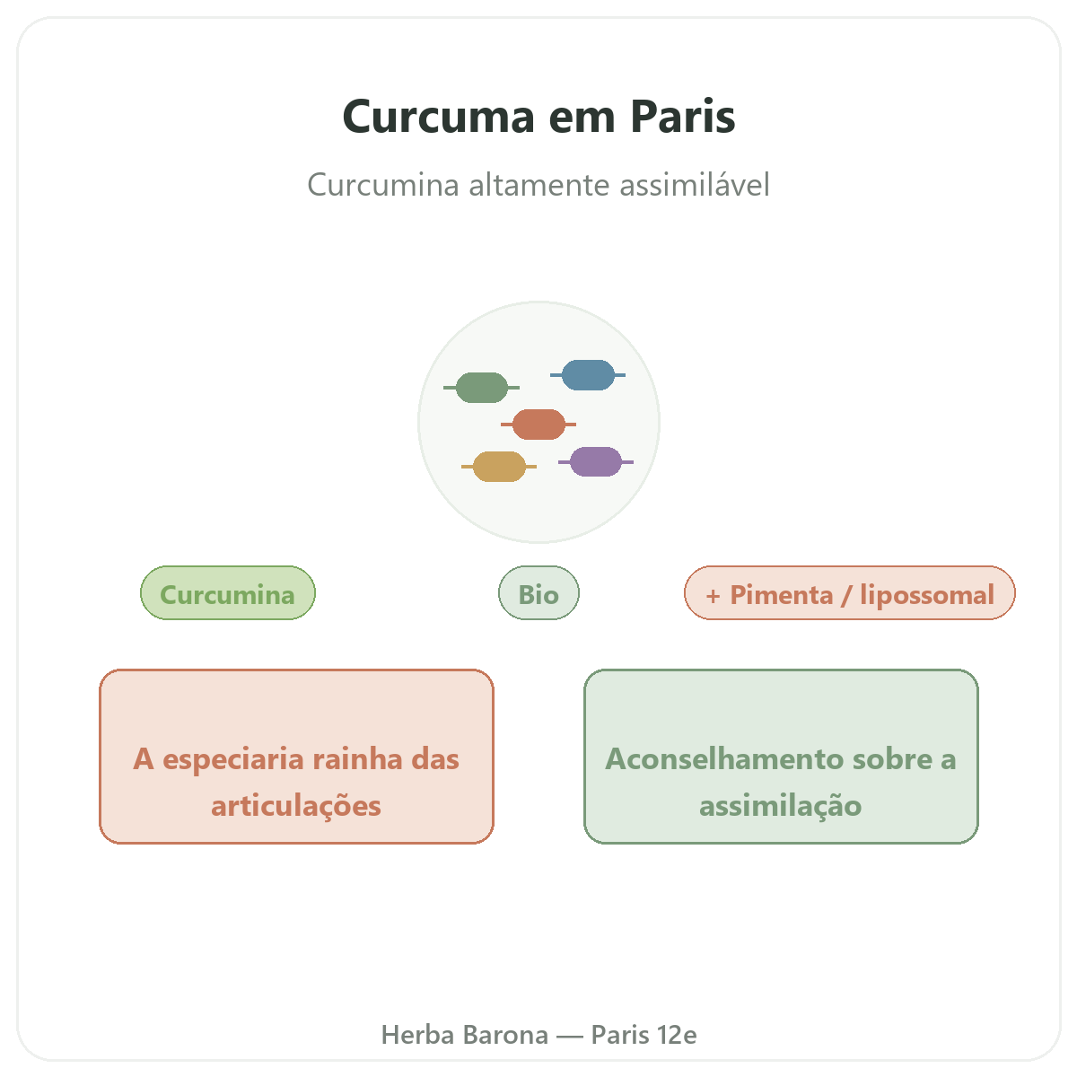 Curcuma Paris Paris - apresentação da marca na Herba Barona Paris 12e