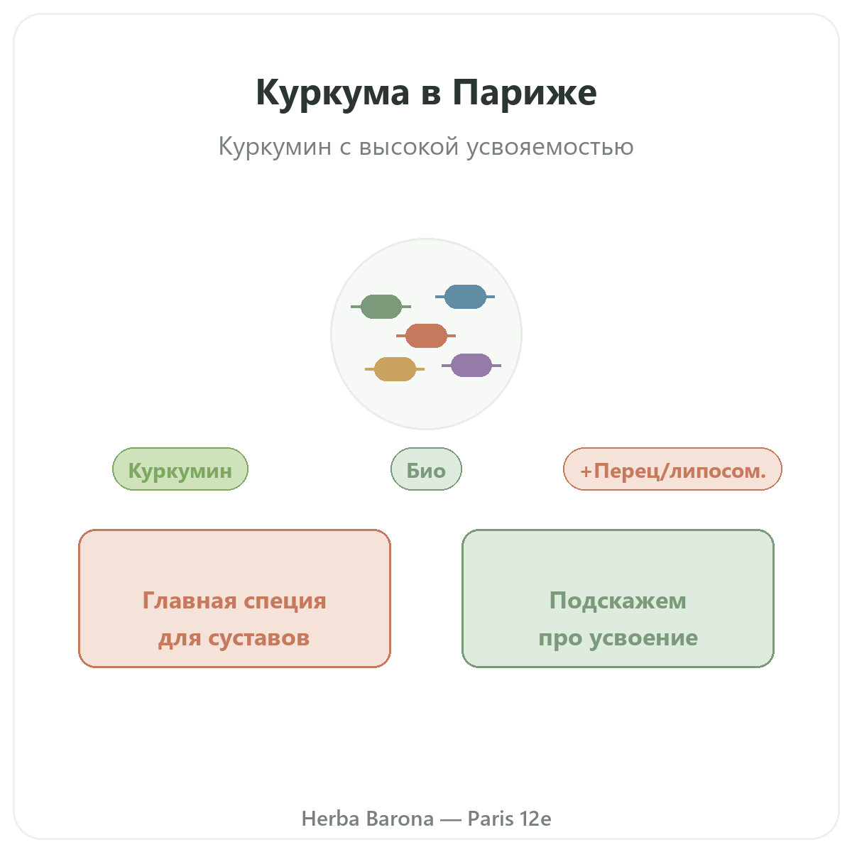 Куркума Париж — презентация марки в Herba Barona, Париж, 12-й округ