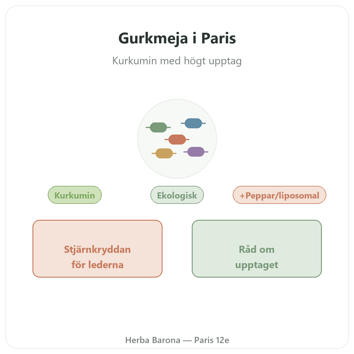 Gurkmeja Paris Paris - presentation av varumärket hos Herba Barona Paris 12e