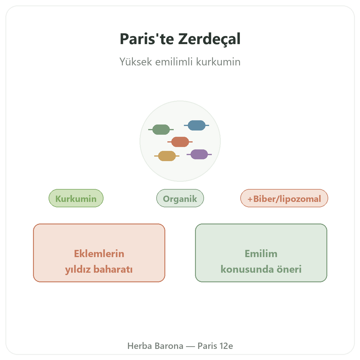 Zerdeçal Paris - Herba Barona Paris 12. bölge’de marka tanıtımı