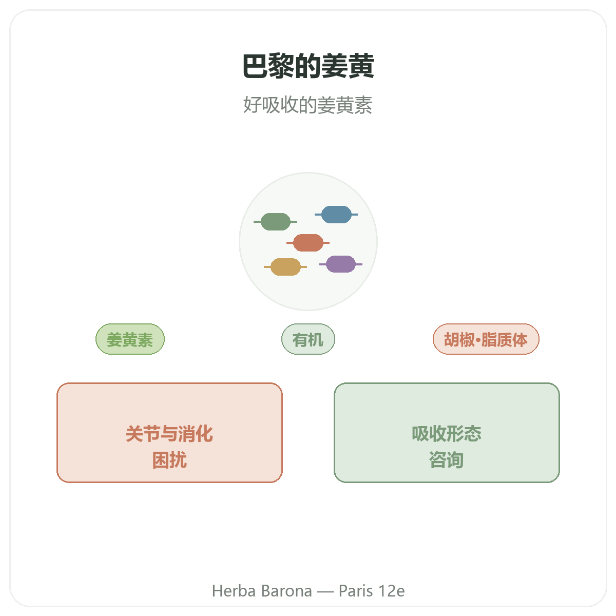 姜黄 巴黎 - Herba Barona巴黎12区品牌介绍