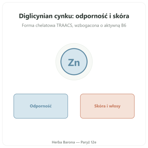 Cynk Bisglicynian – Novoma – 120 Kapsułek prezentacja Paris Herba Barona
