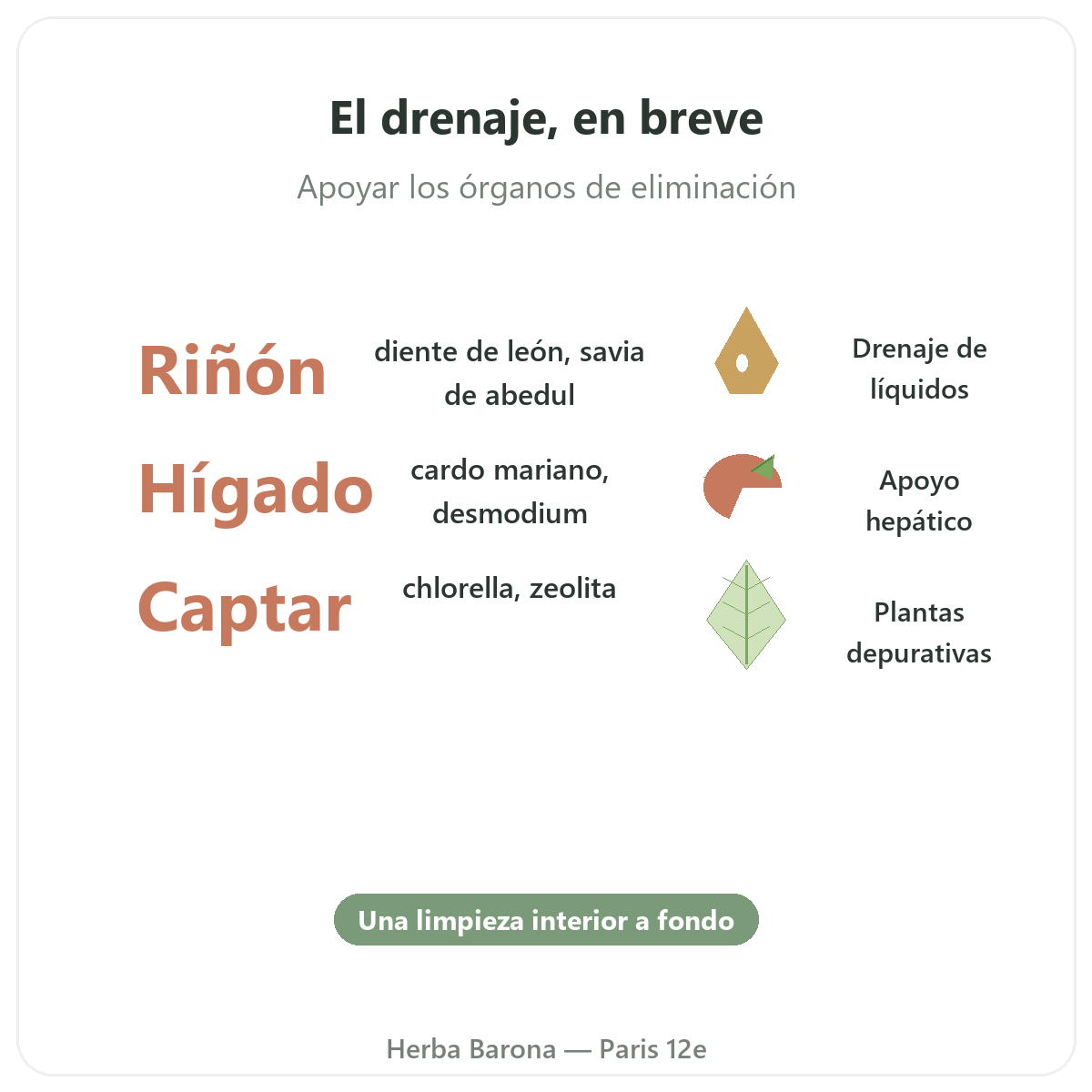 Detox y drenaje en París en breve - cifras clave en Herba Barona Paris 12e