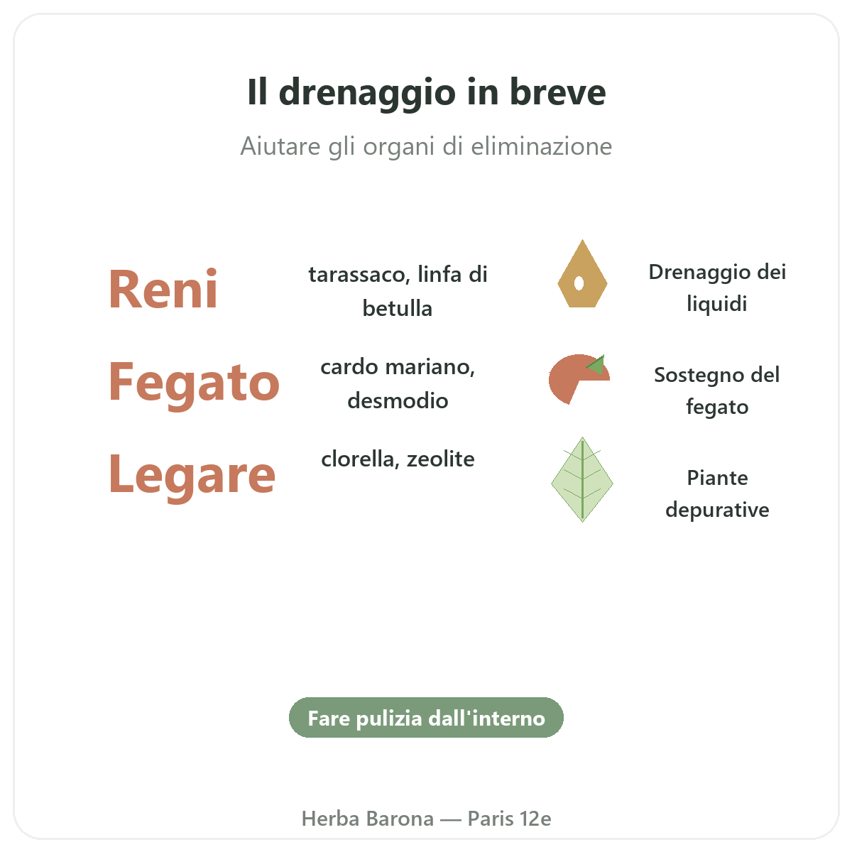 Detox e drenaggio Parigi in breve - cifre chiave da Herba Barona Parigi 12e