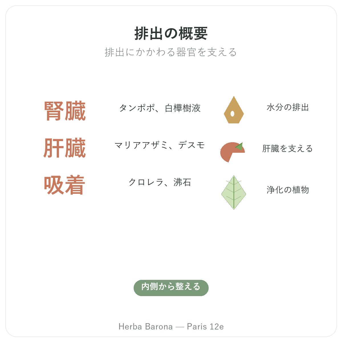 ドレナージュ・デトックス パリ 概要 - Herba Barona Paris 12eの主要数値