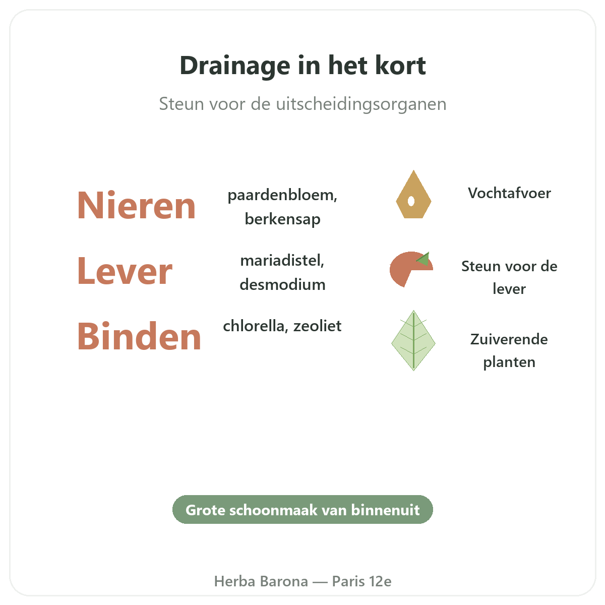 Detox & drainage Parijs in het kort - kerncijfers bij Herba Barona Parijs 12e