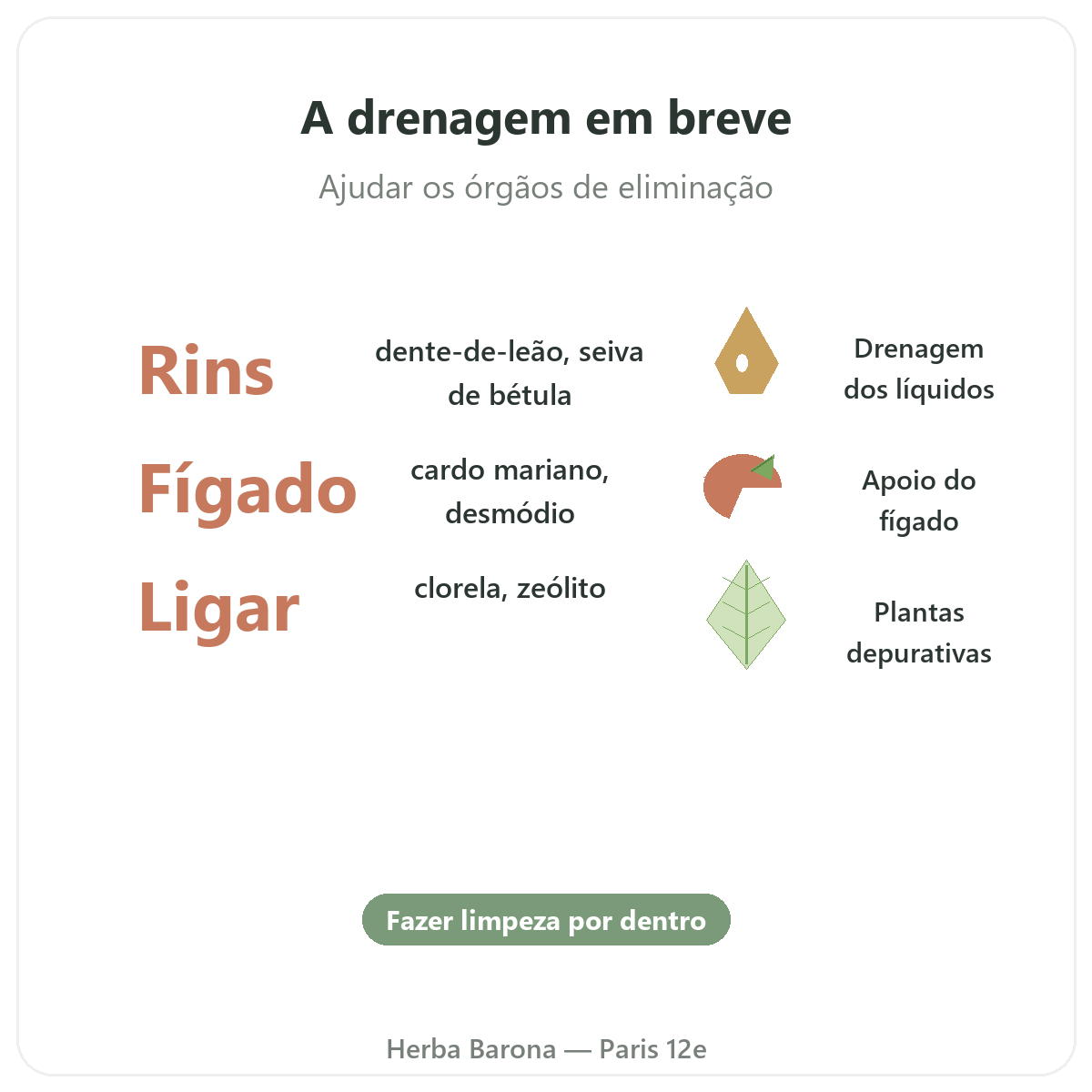 Detox e drenagem Paris em resumo - números-chave na Herba Barona Paris 12e