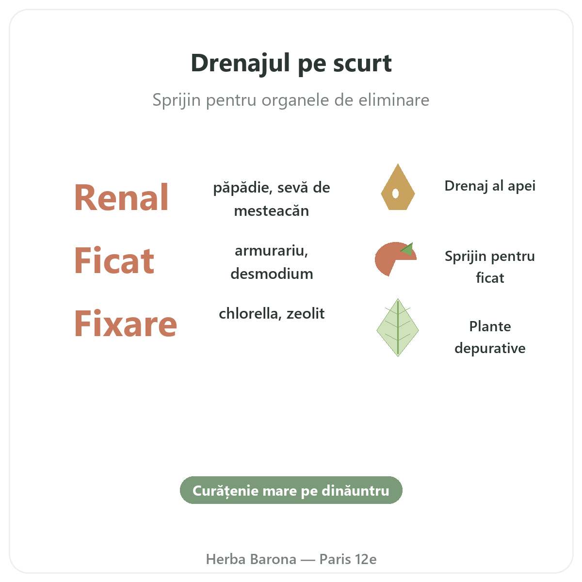 Draineur detox Paris Paris en bref - chiffres cles chez Herba Barona Paris 12e