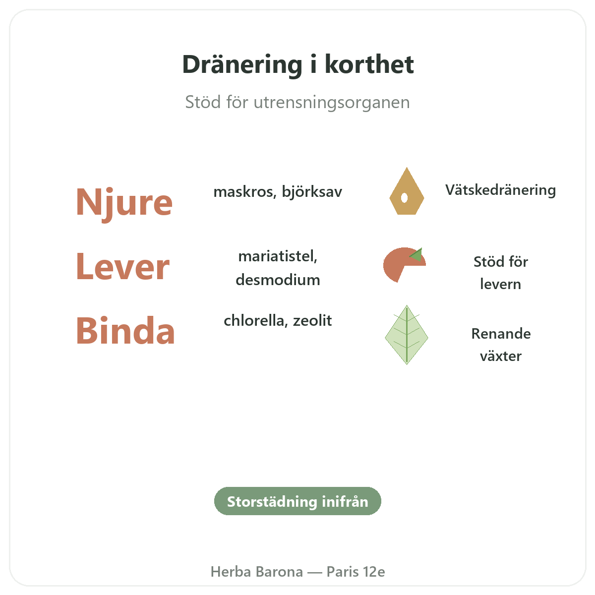 Detox och dränering i Paris i korthet – nyckeltal hos Herba Barona Paris 12e