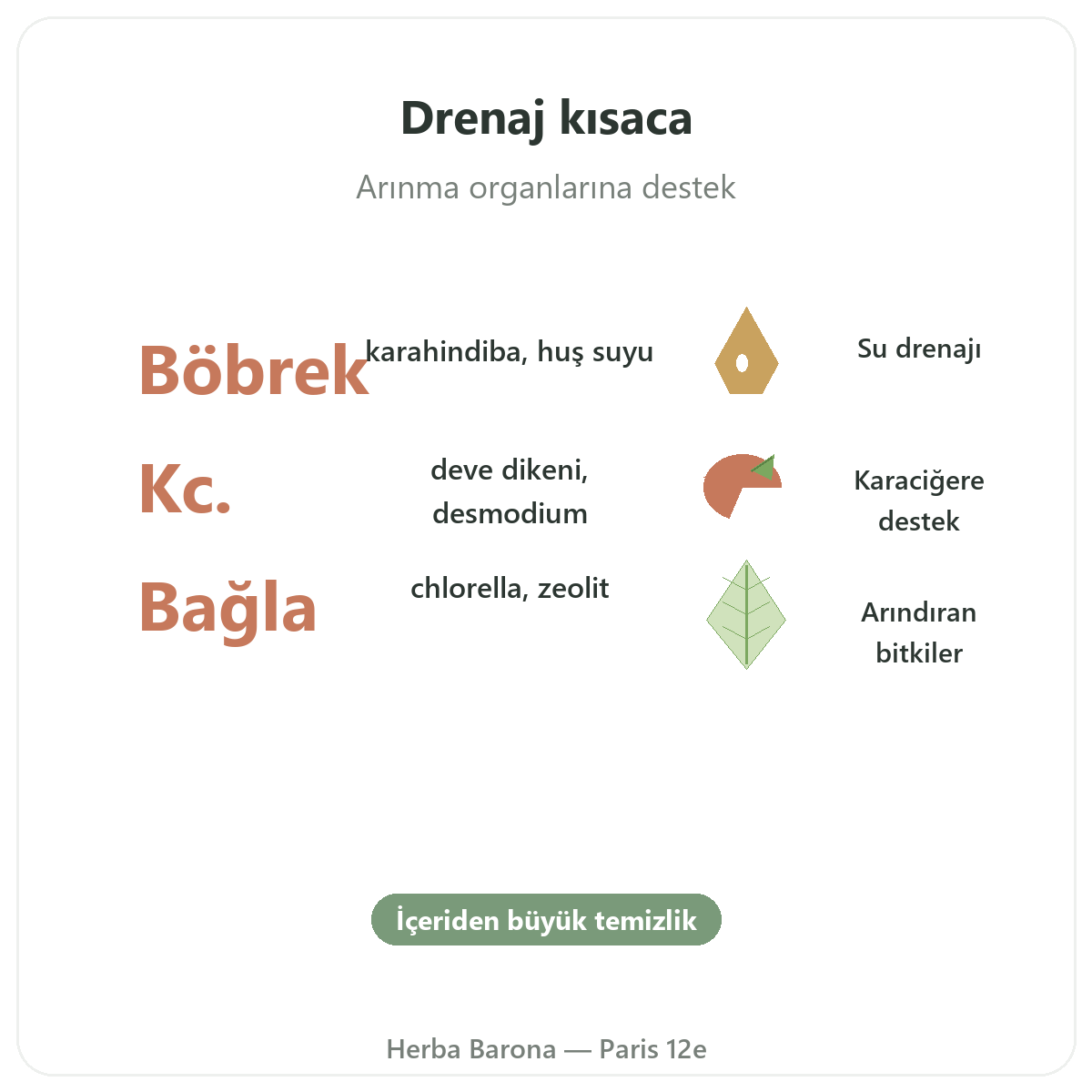 Paris’te Detoks Drenaj özetle - Herba Barona Paris 12. bölgede önemli rakamlar