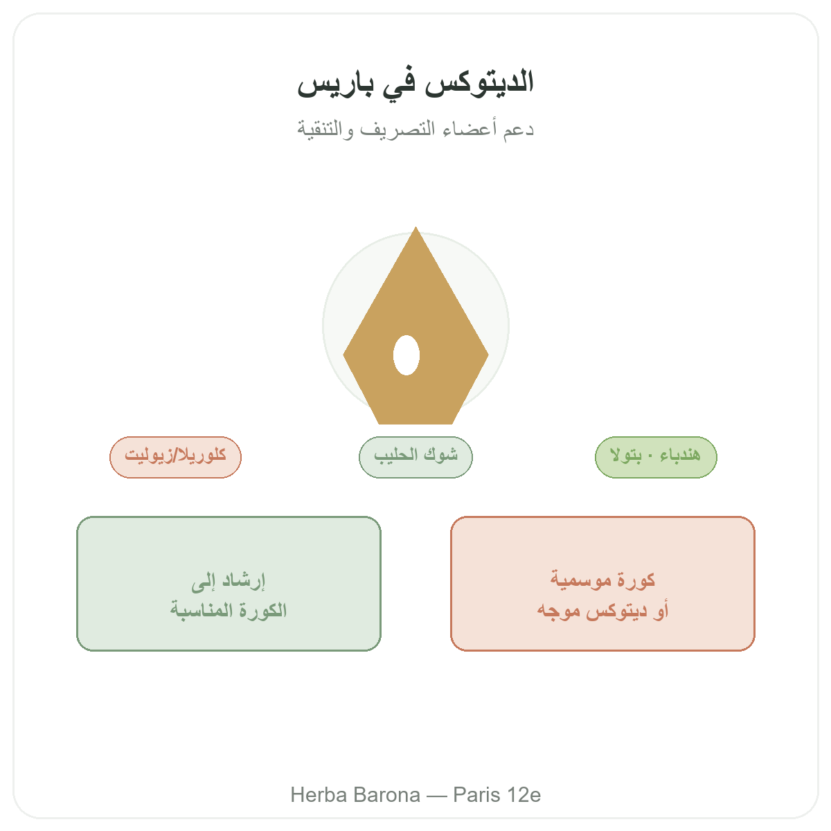 Draineur detox Paris Paris - presentation de la marque chez Herba Barona Paris 12e