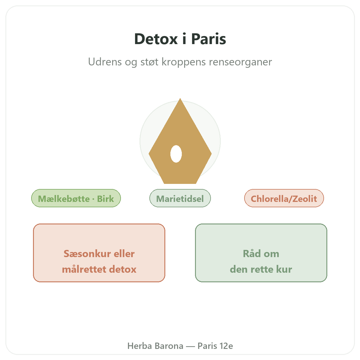 Dræning og detox i Paris - præsentation hos Herba Barona Paris 12