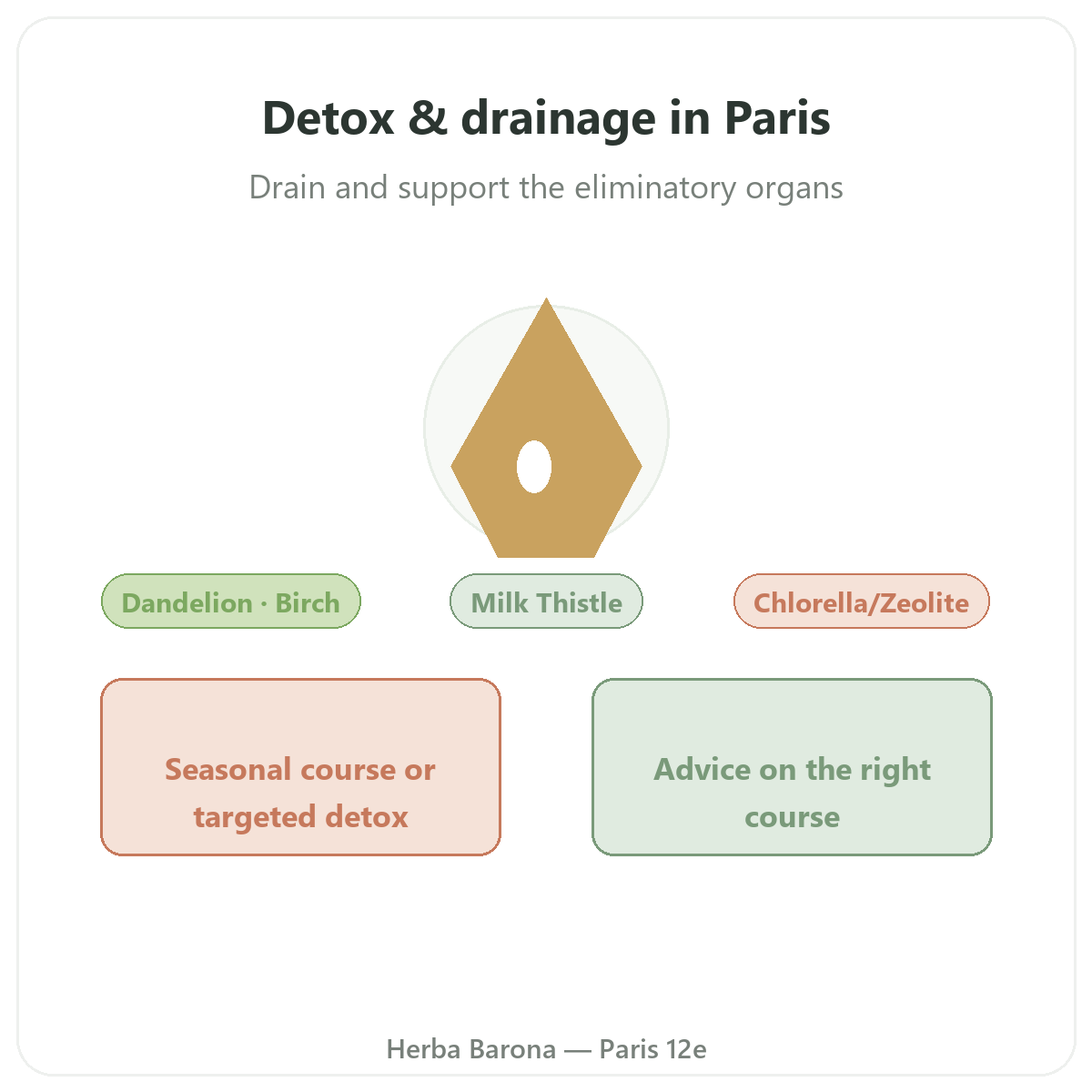 Draineur detox Paris Paris - presentation de la marque chez Herba Barona Paris 12e