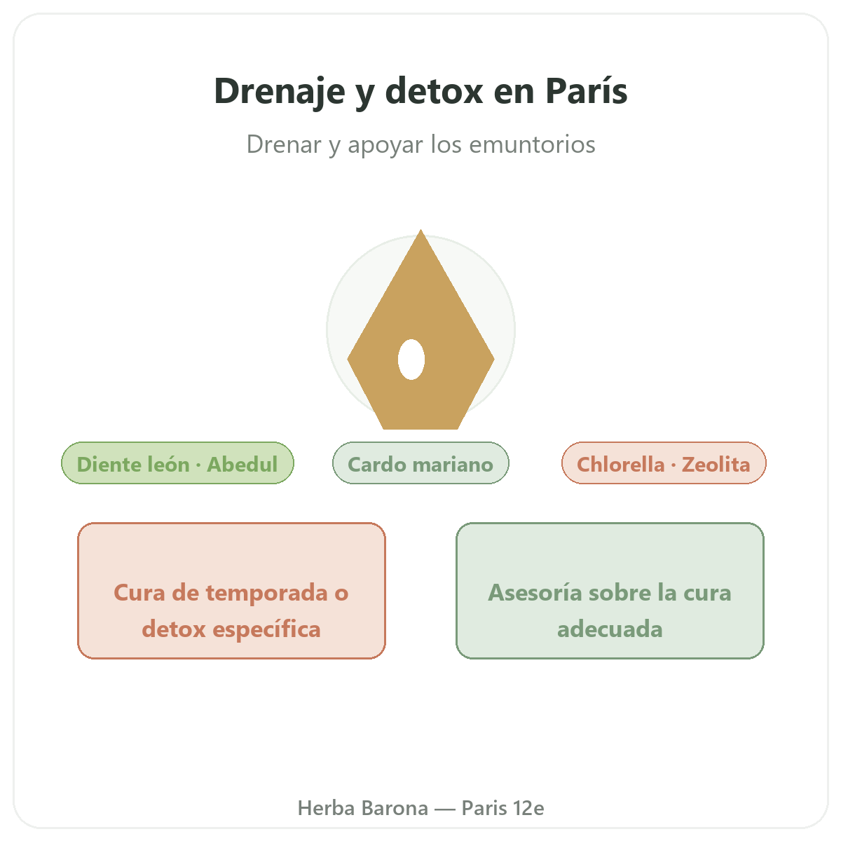 Detox y drenaje en París - presentación de la marca en Herba Barona Paris 12e