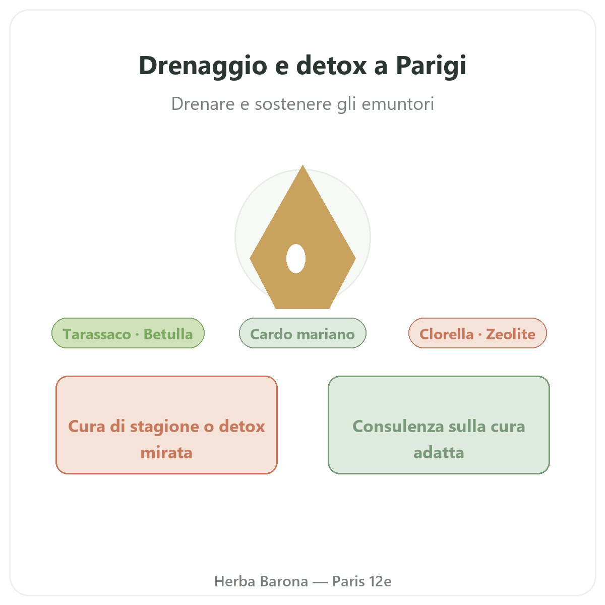 Detox e drenaggio Parigi - presentazione del marchio da Herba Barona Parigi 12e