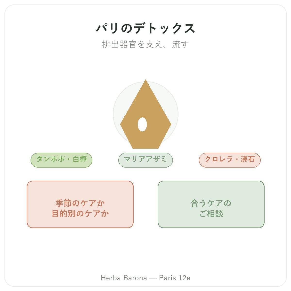 ドレナージュ・デトックス パリ - Herba Barona Paris 12eでのブランド紹介