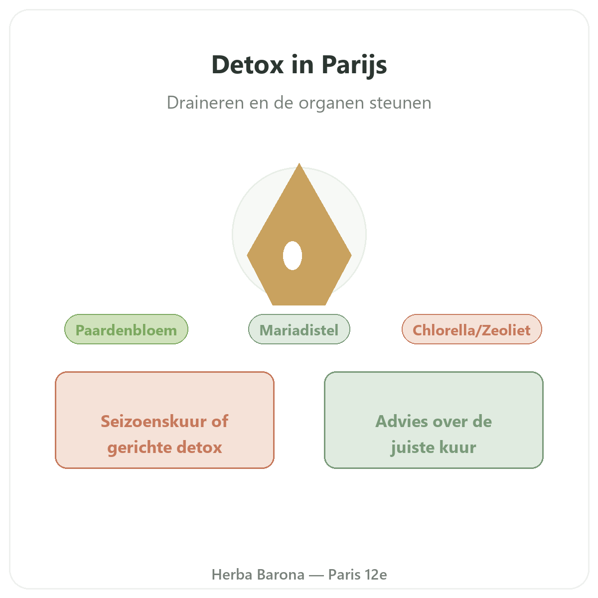 Detox & drainage Parijs - voorstelling van het merk bij Herba Barona Parijs 12e