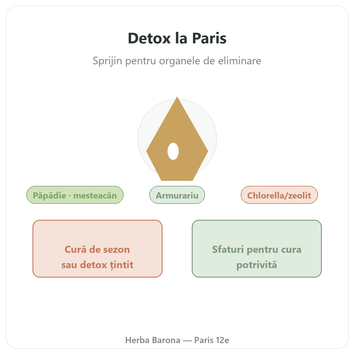 Draineur detox Paris Paris - presentation de la marque chez Herba Barona Paris 12e