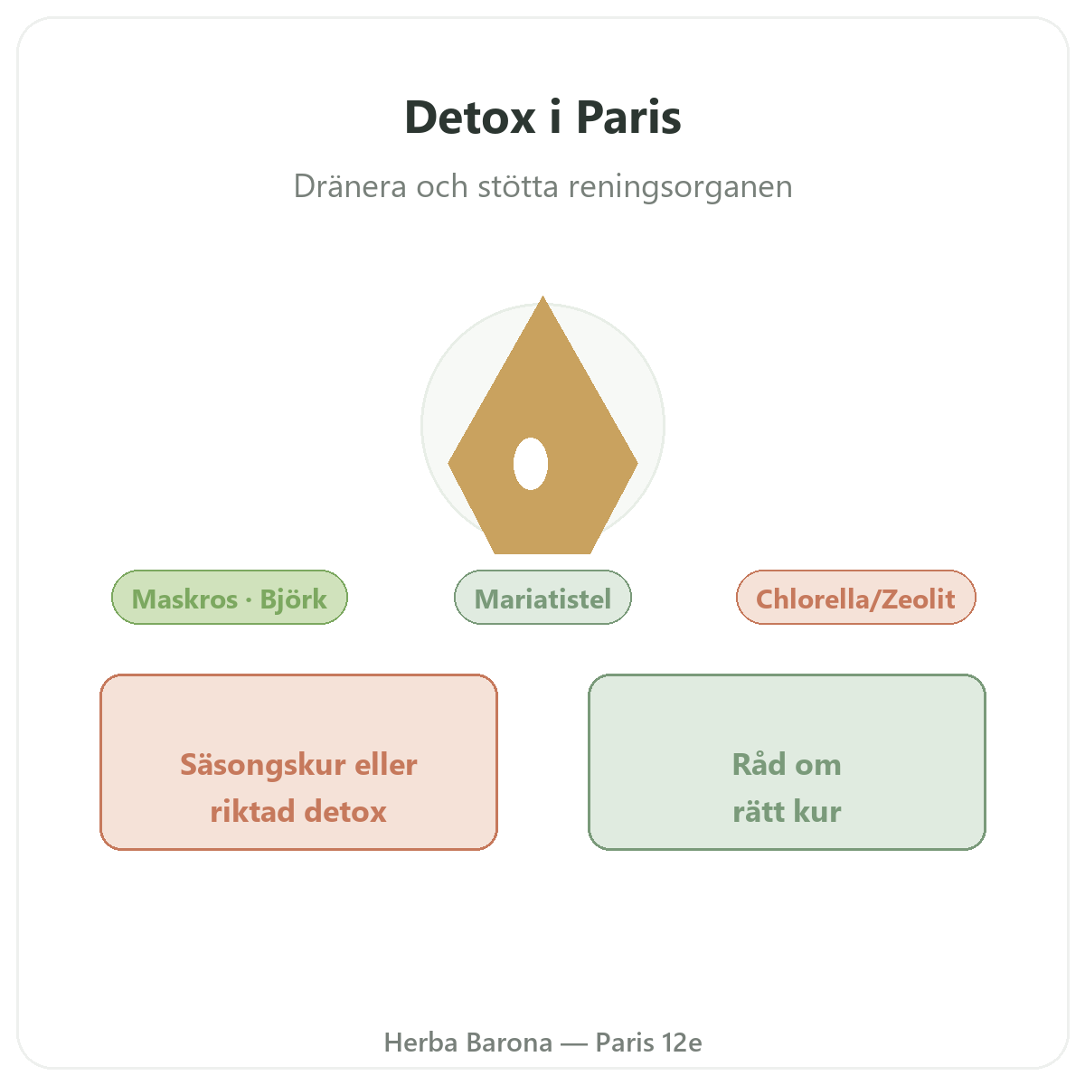 Detox och dränering i Paris – presentation hos Herba Barona Paris 12e