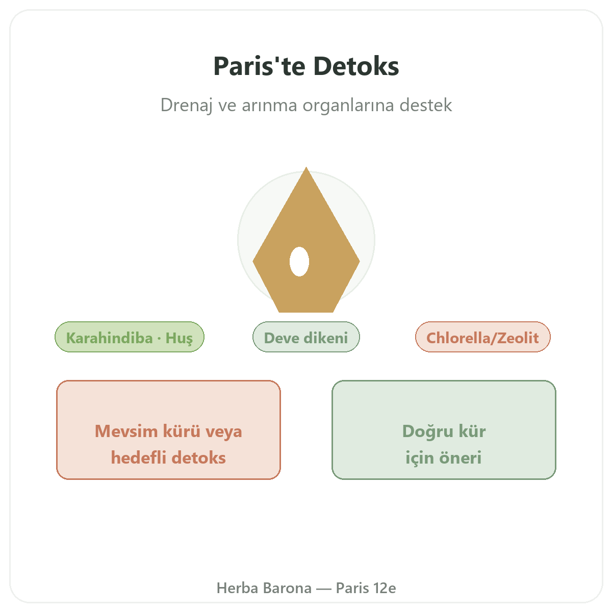 Paris’te Detoks Drenaj - Herba Barona Paris 12. bölgede marka tanıtımı
