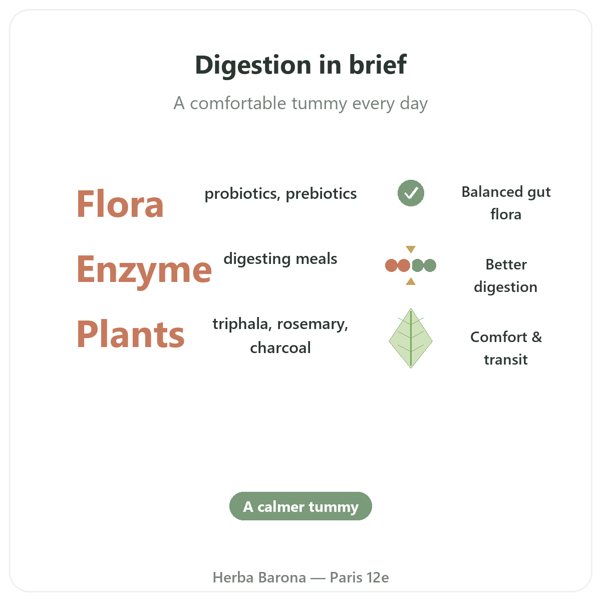 Digestion & Transit in Paris at a glance - key facts at Herba Barona Paris 12e