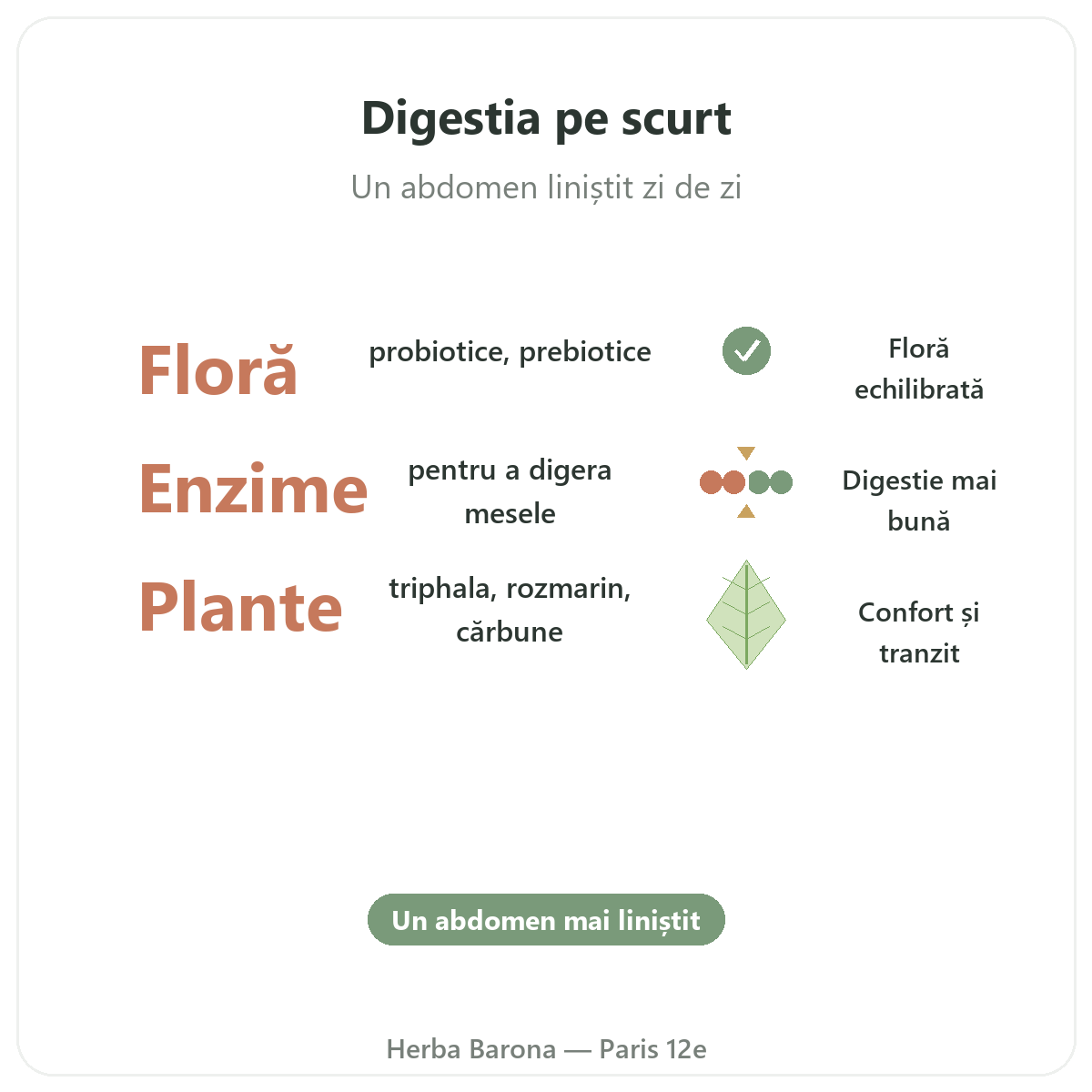 Digestie Tranzit la Paris pe scurt - cifre cheie la Herba Barona Paris, arondismentul 12